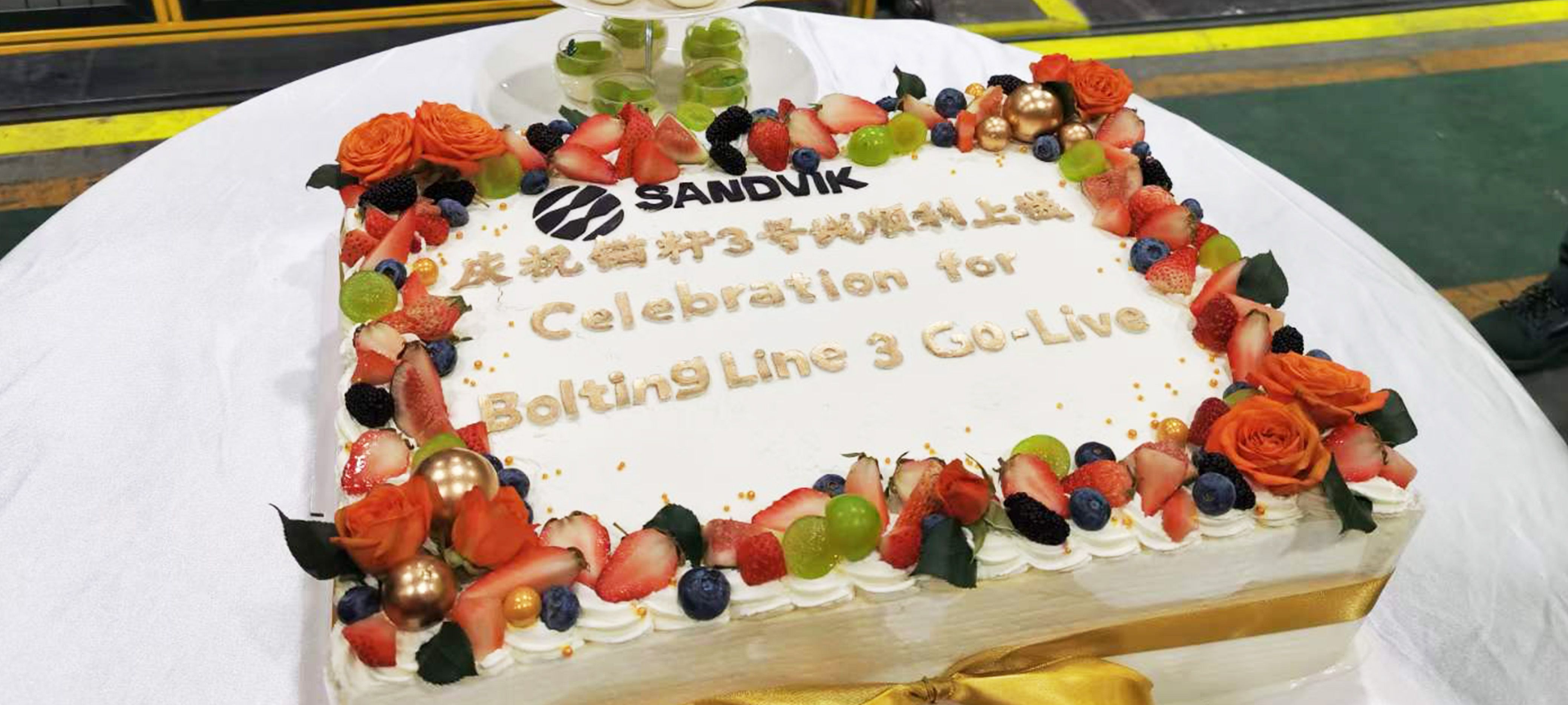 祝賀 | 通錦錨桿自動裝配線順利交付